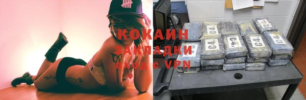 шишки Алексин