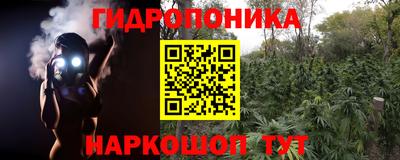 шишки Малоярославец
