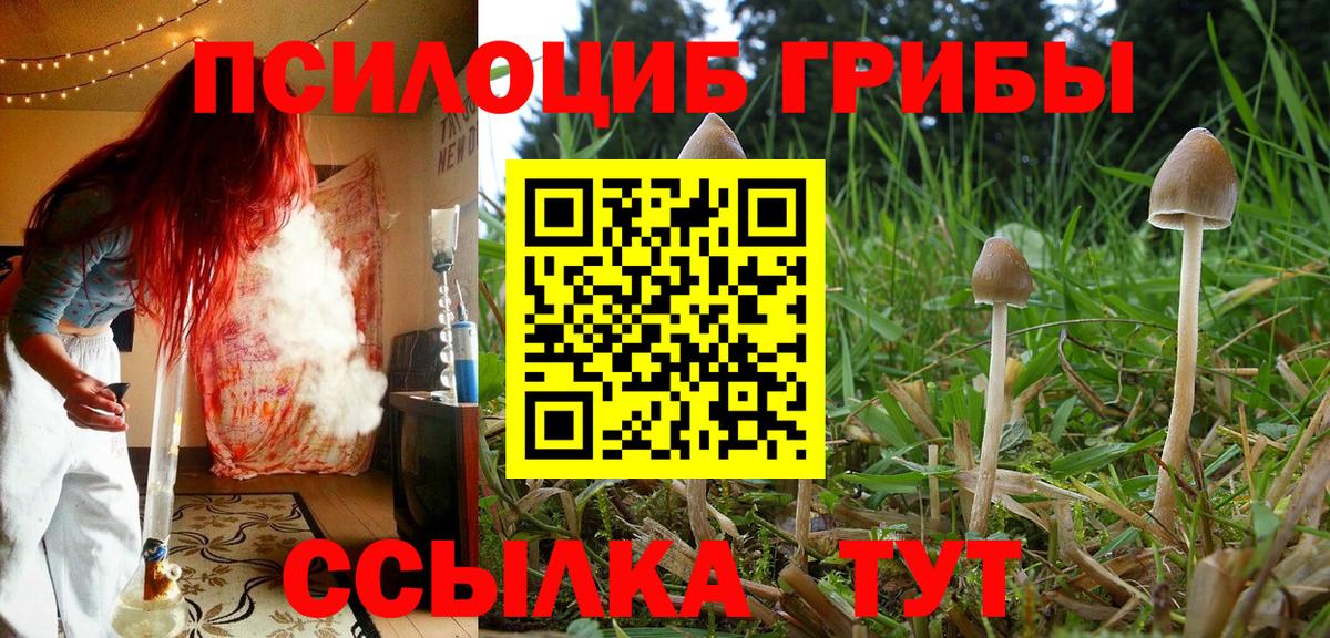Галлюциногенные грибы мицелий  Галлюциногенные грибы мухоморы  Вход с VPN  Советская Гавань 