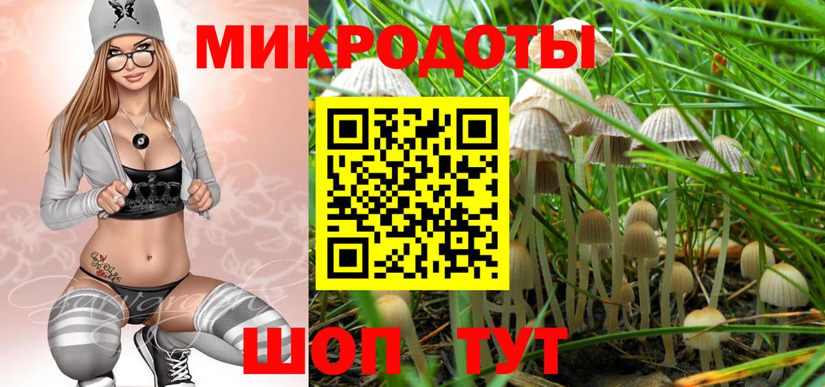 Псилоцибиновые грибы мухоморы Советская Гавань
